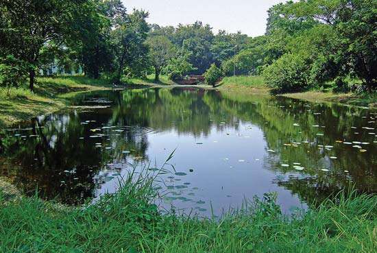 Indian Botanical Garden,  Shibpur, West Bengal